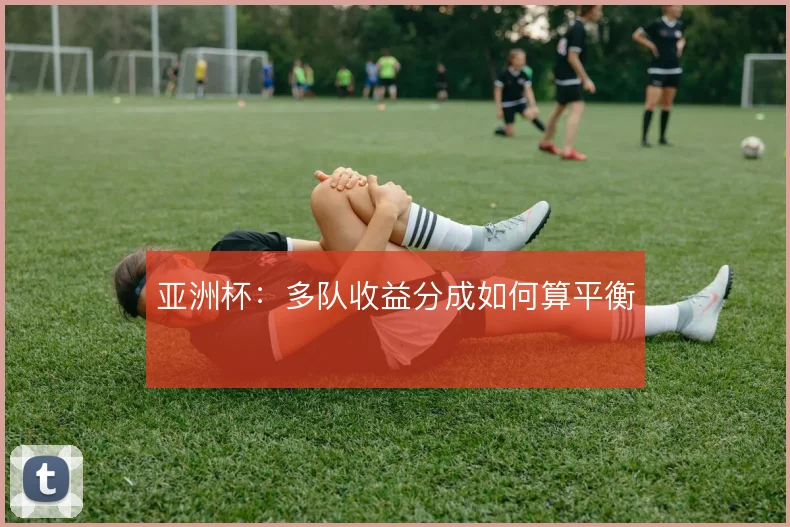 亚洲杯:多队收益分成如何算平衡